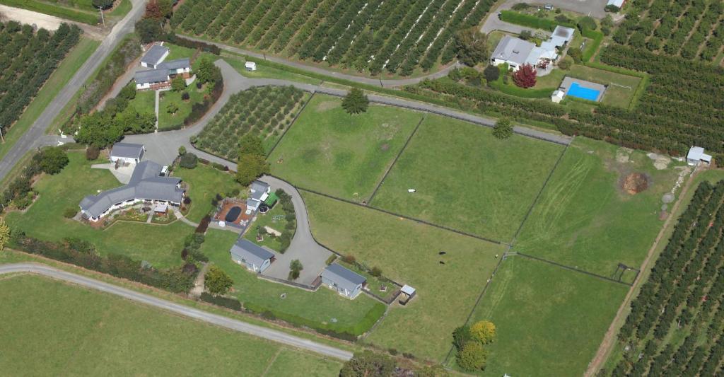 Cottages On St Andrews Havelock North Esterno foto